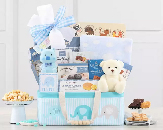 Bundle of Joy: Baby Boy Gift Basket