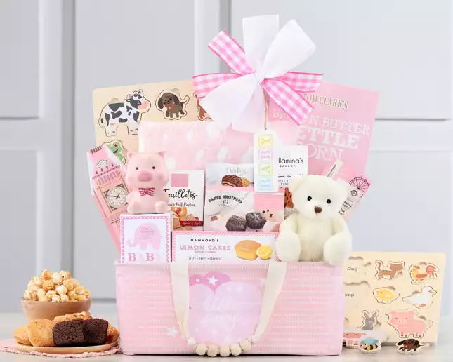 Bundle of Joy: Baby Girl Gift Basket